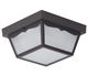 Ceiling Fixture
		  Model#21090-MRNU3019