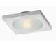 Ceiling Fixture
		  Model#21202-DRNU307