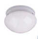 Ceiling Fixture
		  Model#21273-MRNU3019