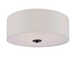 Ceiling Fixture
		  Model#21442-MRNU3025