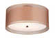 Ceiling Fixture
		  Model#21470-MRNU3016