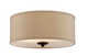 Ceiling Fixture
		  Model#21488-MRNU3016