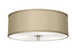 Ceiling Fixture
		  Model#21491-MRNU3016