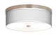 Ceiling Fixture
		  Model#21524-MRNU3016